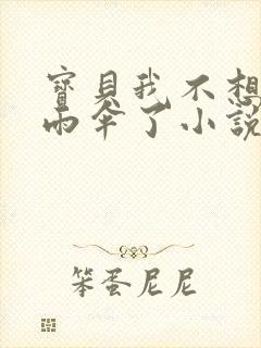 宝贝我不想带小雨伞了小说