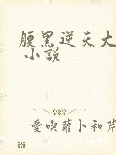 腹黑逆天大小姐 小说