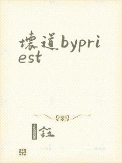 坏道bypriest