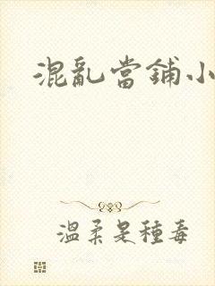 混乱当铺小说