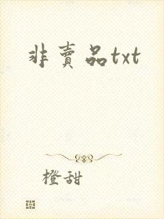 非卖品txt