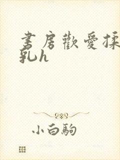 书房欢爱揉捏娇乳h