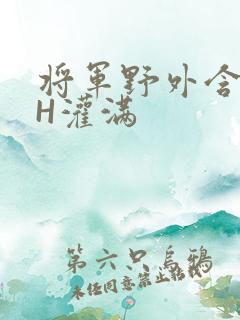 将军野外含公主H灌满