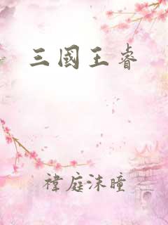 三国王睿