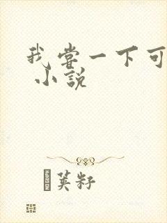 我尝一下可以吗 小说