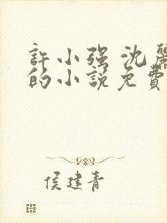 许小强 沈丽娟的小说免费阅读