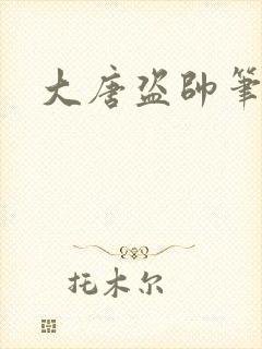 大唐盗帅笔趣阁