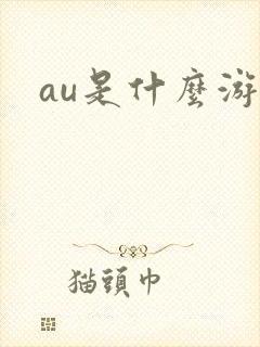 au是什么游戏