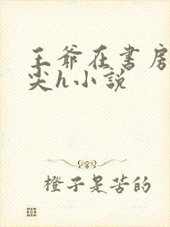 王爷在书房含乳尖h小说