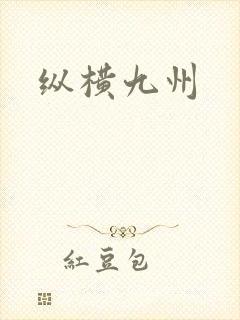 纵横九州