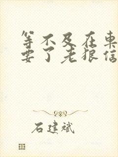 等不及在车里就要了老狼信息