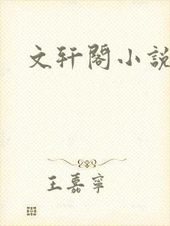 文轩阁小说网