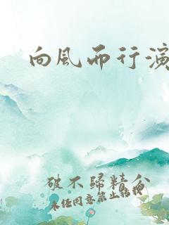 向风而行演员表