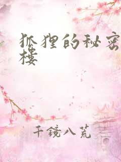 狐狸的秘密19楼