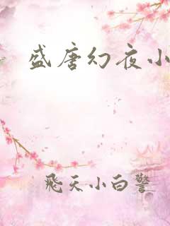 盛唐幻夜小说