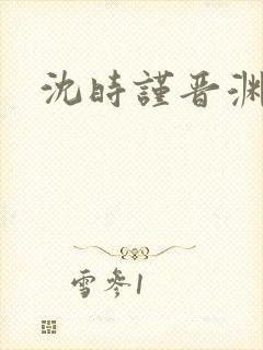 沈时谨晋渊小说