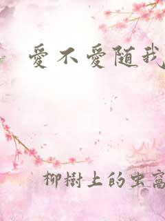 爱不爱随我