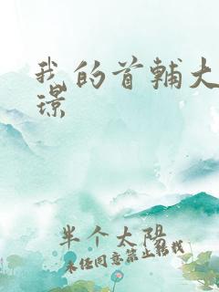 我的首辅大人陆璟