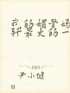 我的媚骨妈妈林轩最火的一句