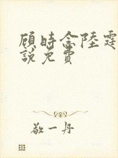 顾时念陆霆骁小说免费