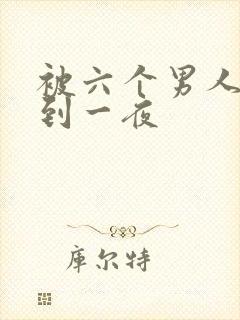 被六个男人躁J到一夜