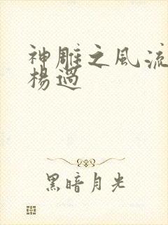 神雕之风流浪子杨过