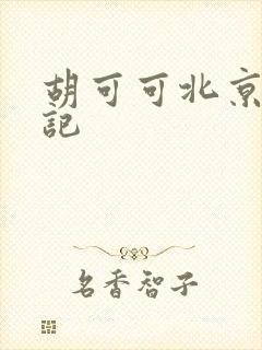 胡可可北京成功记
