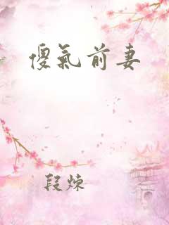 傻气前妻