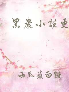 黑岩小说更新吧