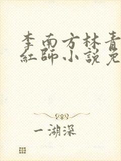 李南方林青青斩红师小说免费阅读