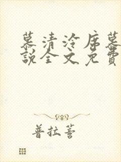 慕清泠席慕深小说全文免费阅读
