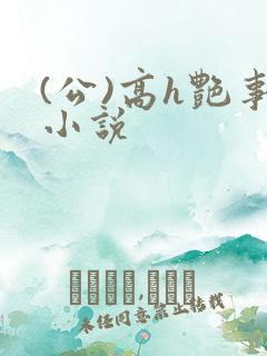 (公)高h艳事小说