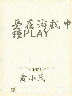 受在游戏中被各种PLAY