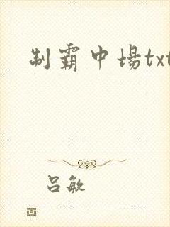 制霸中场txt
