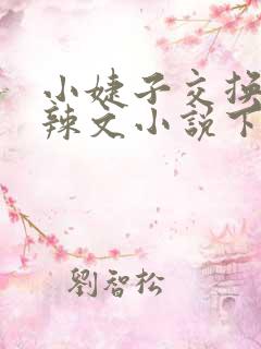 小婕子交换系列辣文小说下载