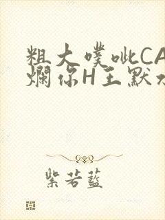 粗大噗呲CAO烂你H王默水王子
