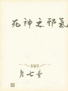 死神之邪气一护