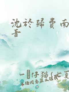 沈于归费南城抖音