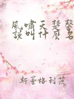 风啸天楚馨月小说叫什么名字