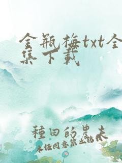 金瓶梅txt全集下载