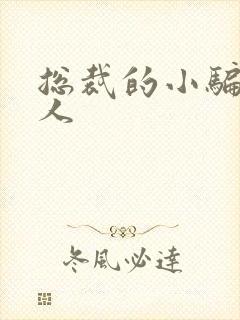 总裁的小骗子情人