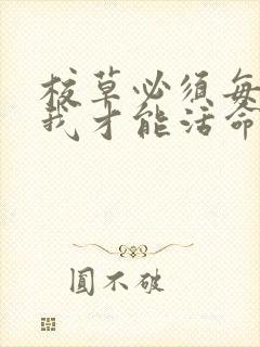 校草必须每天吸我才能活命[穿书]