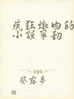 疯狂炖肉的全部小说宁韵