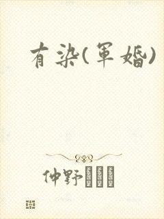 有染(军婚)