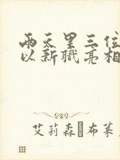 两天里三位将军以新职亮相