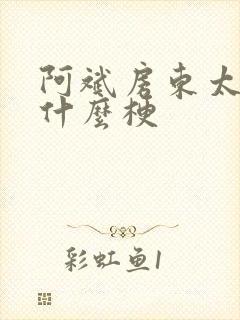 阿斌房东太太是什么梗