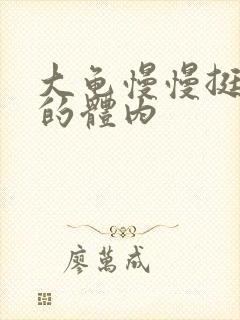 大龟慢慢挺进我的体内