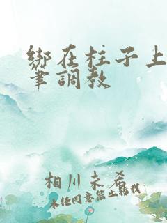 绑在柱子上用毛笔调教