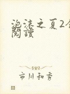 泡沫之夏2全文阅读