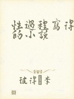 性过程写得详细的小说